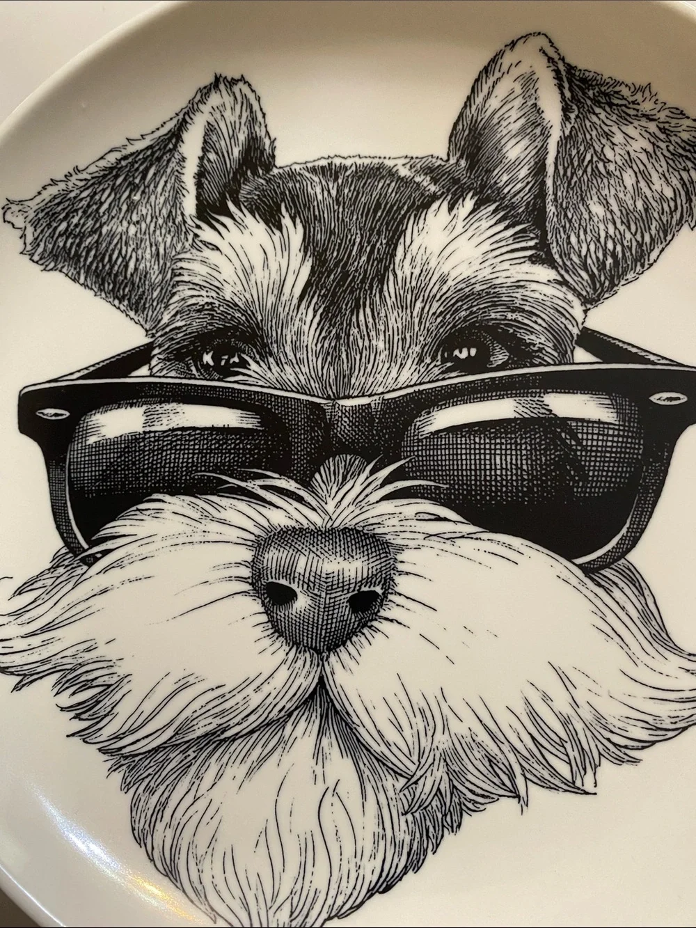 Williams Sonoma Rory Dobner Ink-Illustrated Schnauzer Dog Plate w/Sunglasses NEW